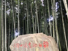 -上海醉白池公园