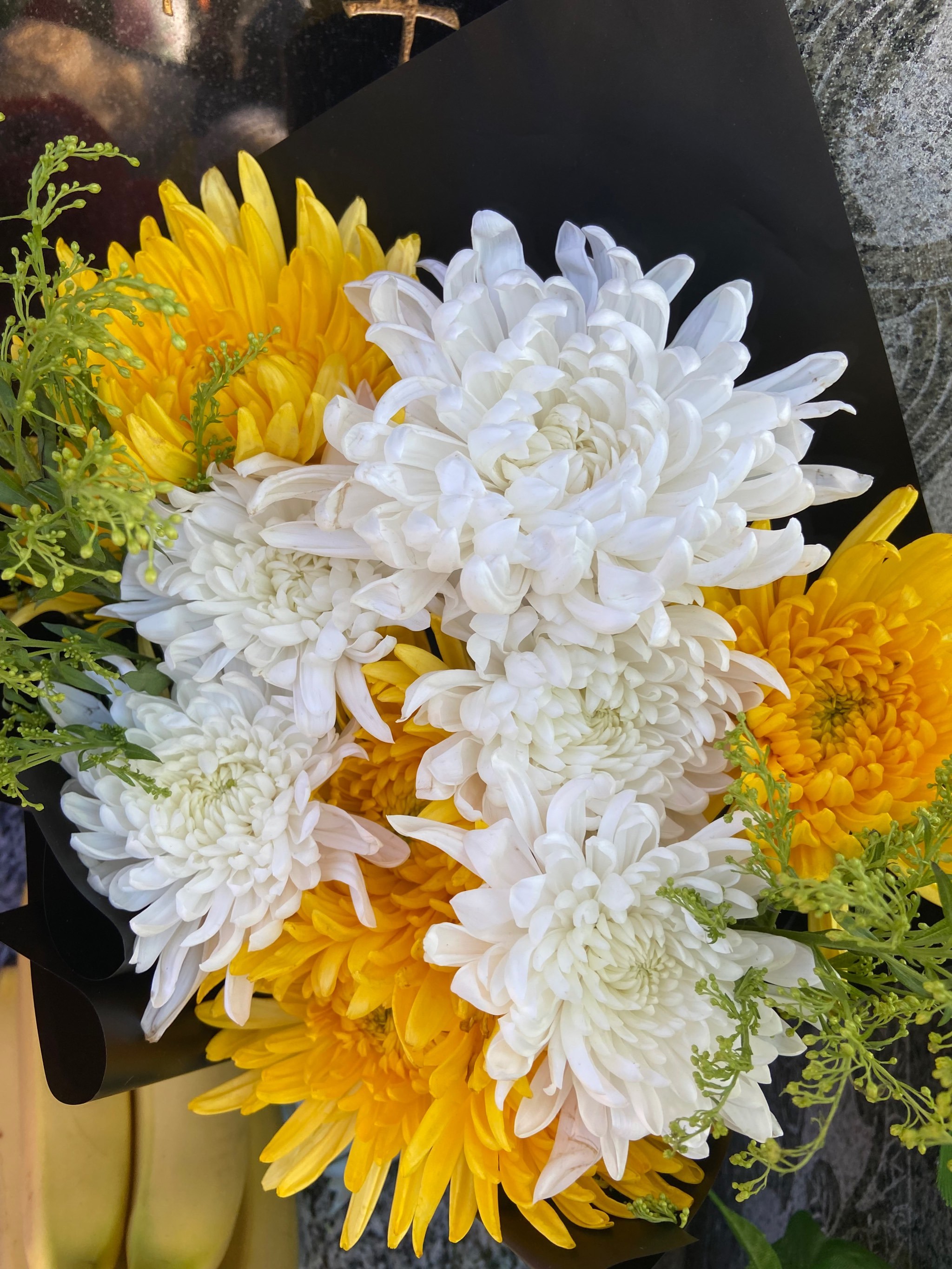 五一节天津15日探索之旅