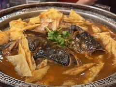 -邵年鸽(杨庄店)