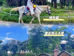 -佛冈森波拉度假区