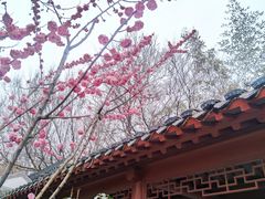 -贮水山儿童公园