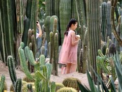 -厦门园林植物园-植物园滴水山房