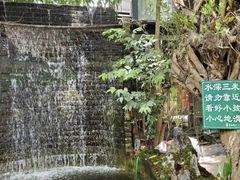-大树头森林餐厅(番禺广场店)