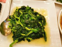豆苗-汾阳花园酒店·餐厅(徐汇店)