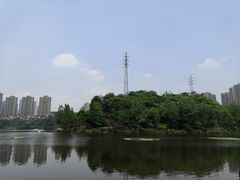 -重庆彩云湖湿地公园