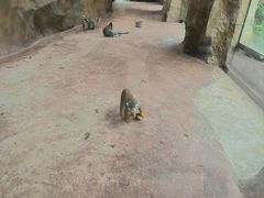 -灵玲国际马戏城