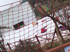 -梦幻奥陶纪景区