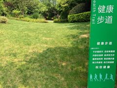 -桃花岛景观公园