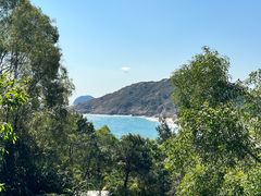 -广东惠东海龟国家级自然保护区