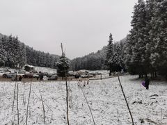 -武陵山森林公园