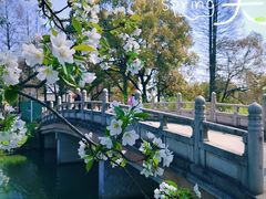 -苏州上方山国家森林公园