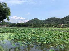 -红山村