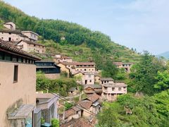 -杨家堂村