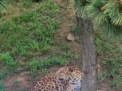 -西霞口神雕山野生动物世界