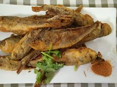 -烁佳海鲜大馅饺子