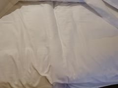 -东北大厦酒店(沈阳北站青年大街店)