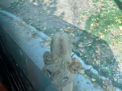 -北京野生动物园