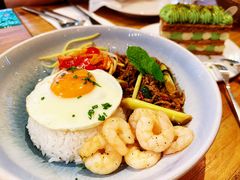 -TGS蒂歌斯(鼎峰中央店)