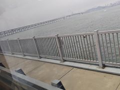 -星海湾跨海大桥