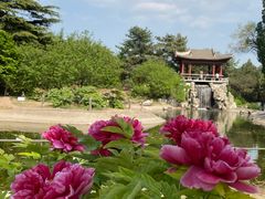 -国家植物园南园