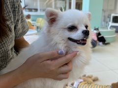 -怪兽屋·羊驼·猫咖·狗咖(俊华广场店)