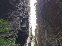 -蝶舞清江·恩施云顶景区(黄鹤峰林)