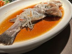 -顺风123(观音桥大融城店)