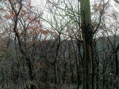 android_upload_pic-南山风景名胜区