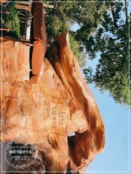 -翱翔飞越地平线