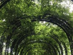 -月湖风景区