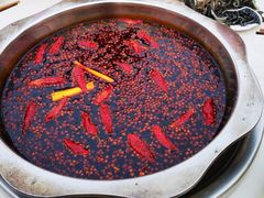 -枇杷园食为鲜火锅(南山店)