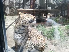 -石家庄市动物园