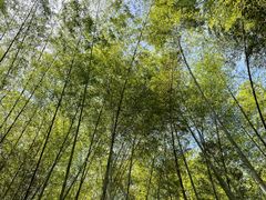 -敬亭山风景名胜区