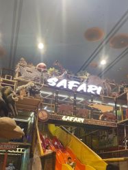 -卡通尼·Safari非洲探索乐园·生日会(金桥国际商业广场店)