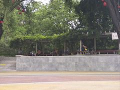 -沙澧河风景区