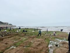 -青岛第二海水浴场