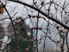 -北京西山国家森林公园