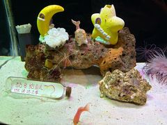 -海合安武汉极地海洋公园