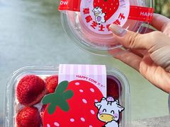 -欢牛蛋糕屋(萧山万象汇店)