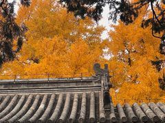-承恩寺