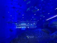 -成都浩海立方海洋公园