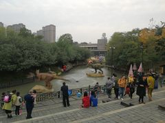 -青枫公园