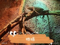 -北京海洋馆