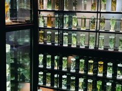 -广东中医药博物馆