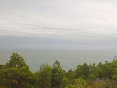 -广东惠东海龟国家级自然保护区