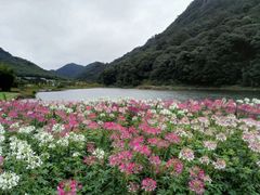 -广州市石门国家森林公园