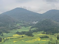 -牛街螺丝田