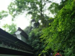 -宋宴(虎跑店)