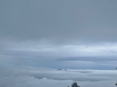 -牛背梁国家森林公园