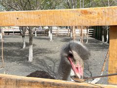 -水上乐园·欢乐世界